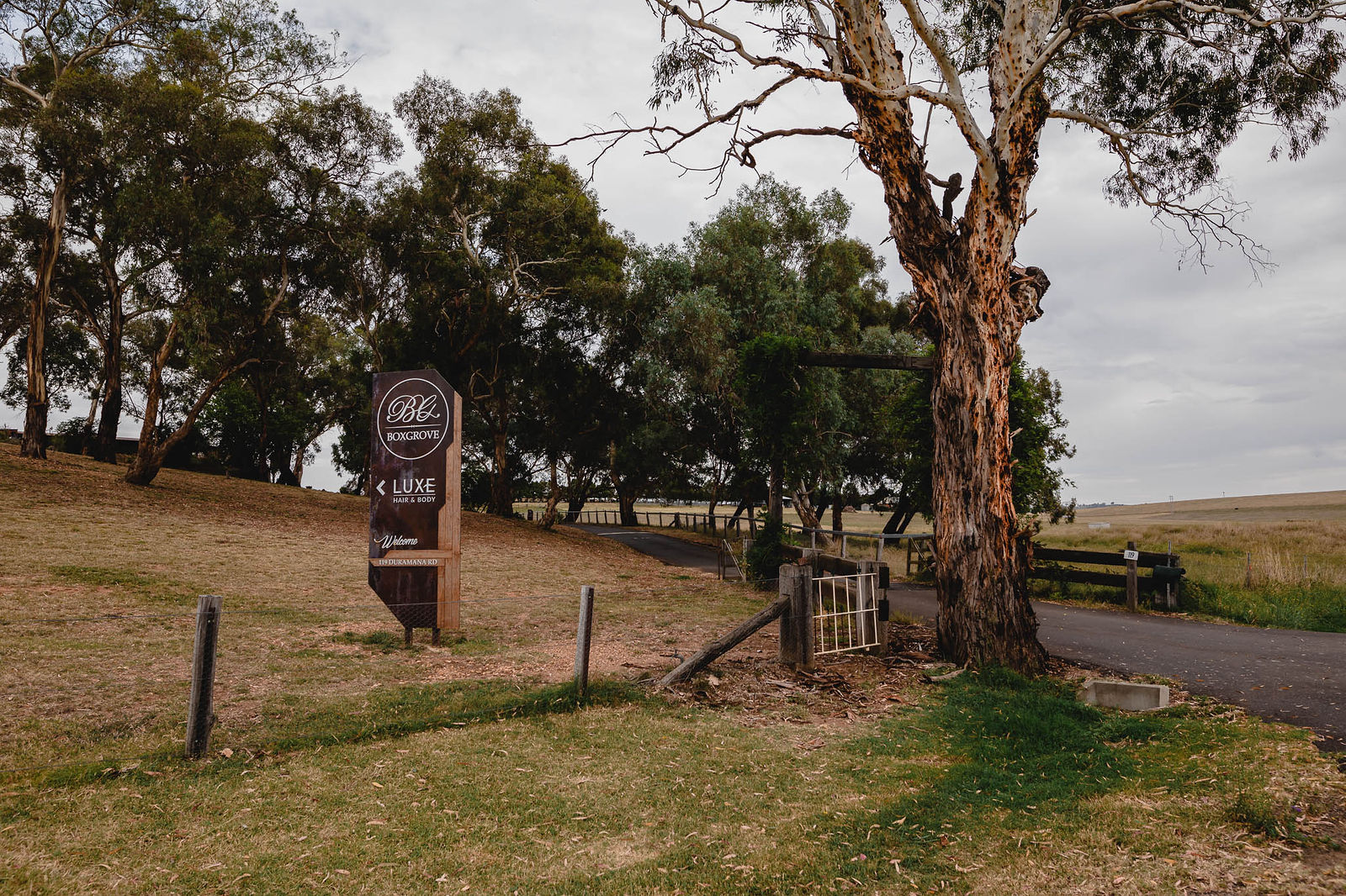 Boxgrove-front